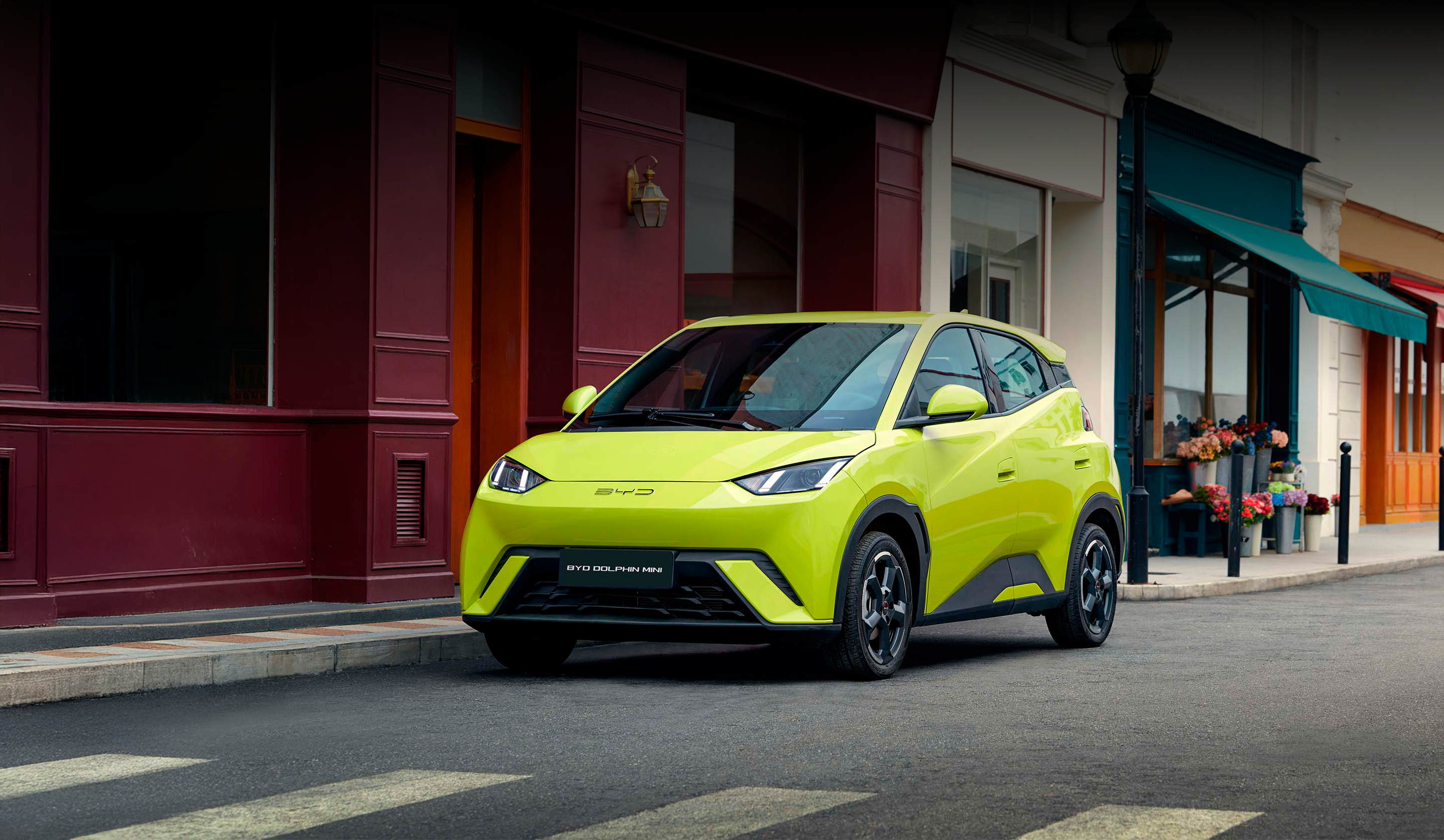 AG亚娱 DOLPHIN MINI